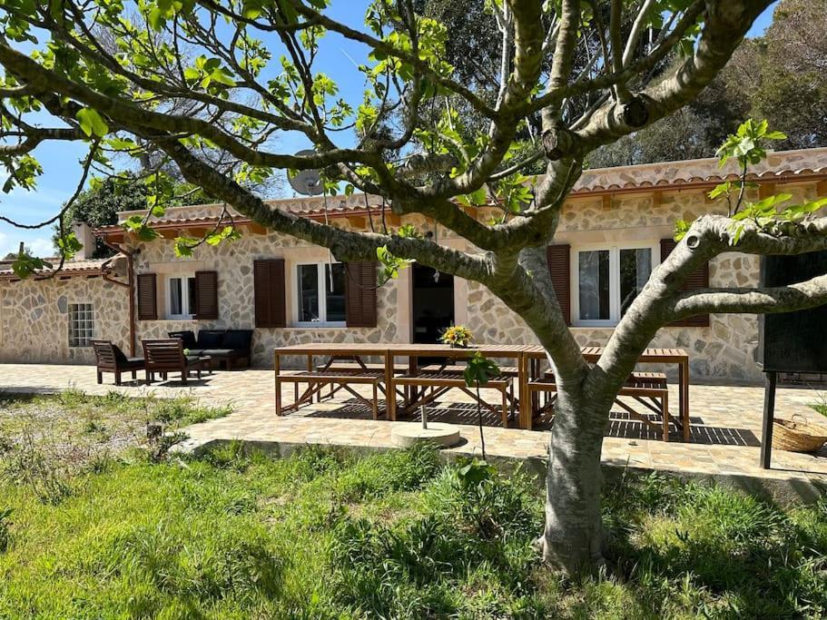 Finca Roberto Villa Can Picafort  Bagian luar foto
